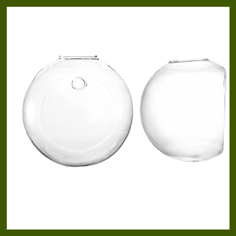 Valorizza le tue piante sulle pareti, senza forare