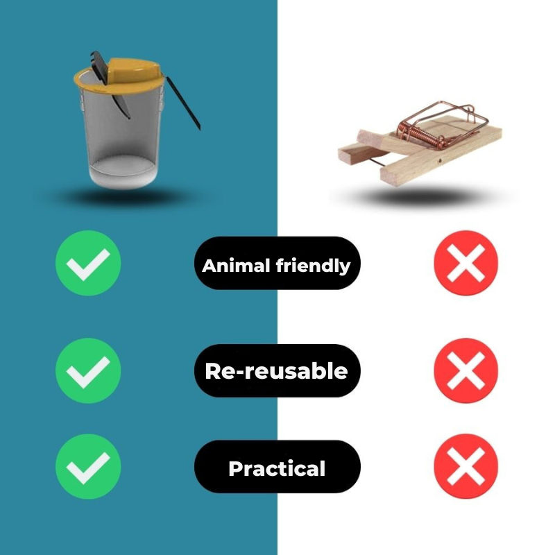 残酷なないげつけの罠 