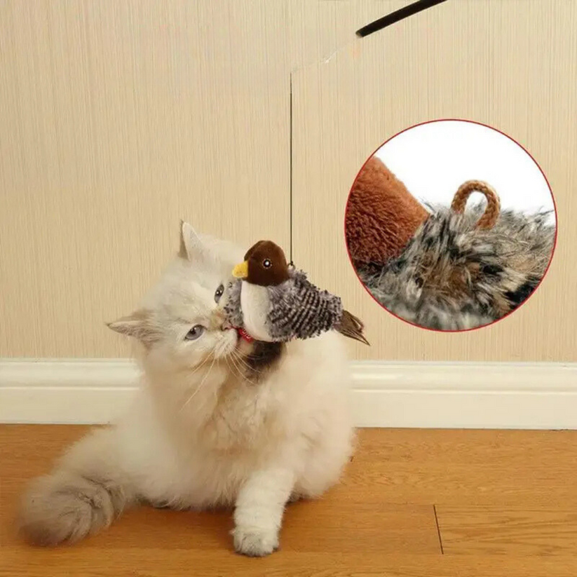 Stimulez l'instinct naturel de votre chat