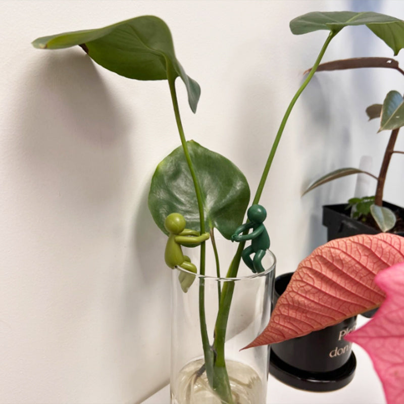 Support per talee decorative e flessibili per piante (x3) 