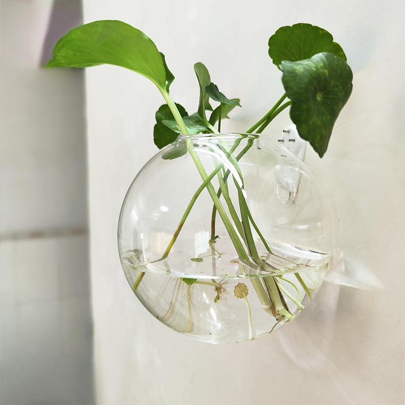 Valorizza le tue piante sulle pareti, senza forare 