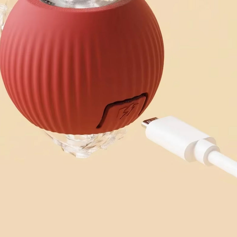 Skáčúca hračka pre aktívne a zvedavé mačky 