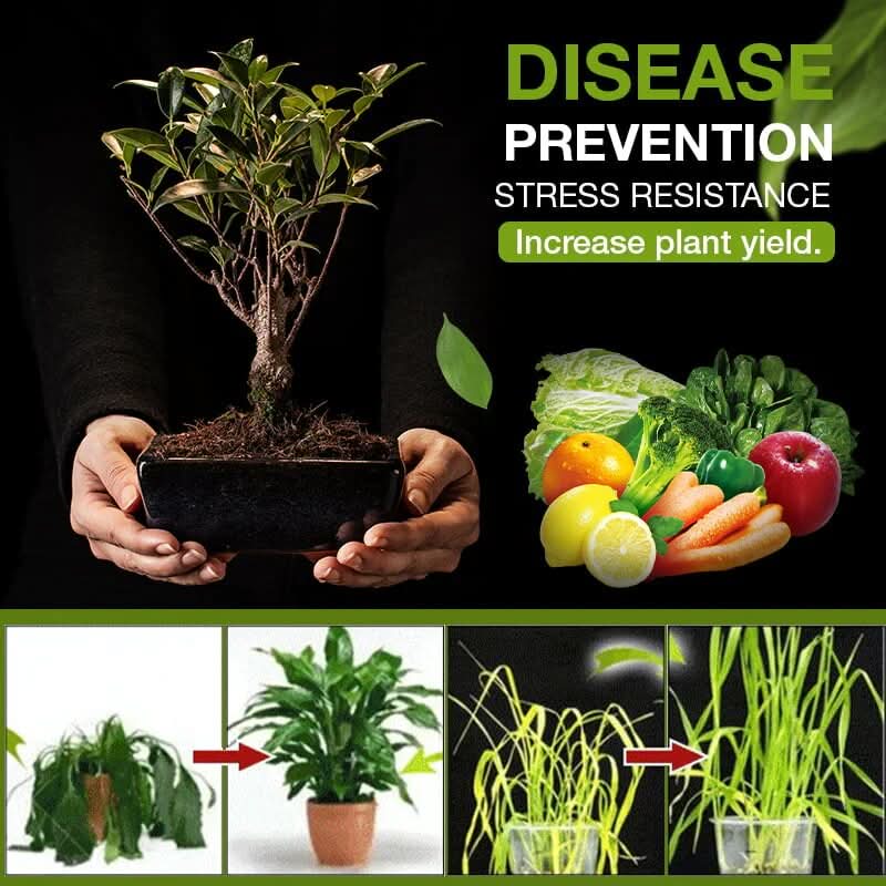 Attivatore di suolo naturale per giardino in 3 giorni 