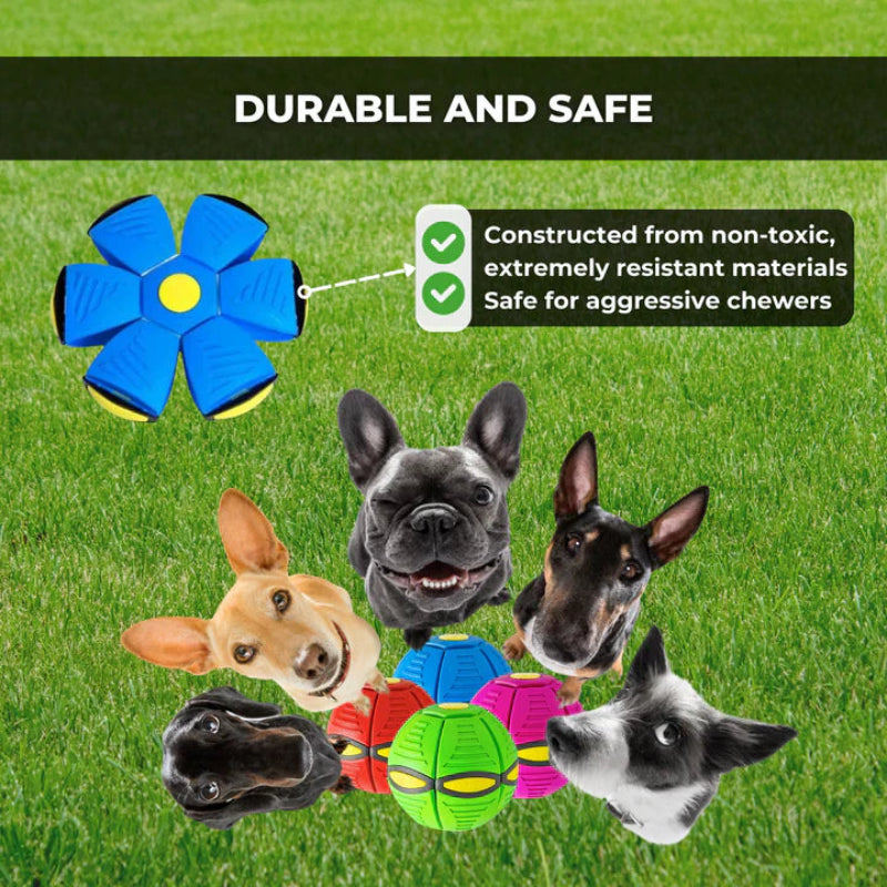 Skákací hračka, která probouzí všechny psy 